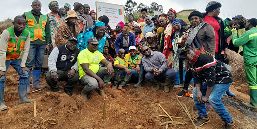 Farmers and IITA trainers after a successful Farmer Field School training session