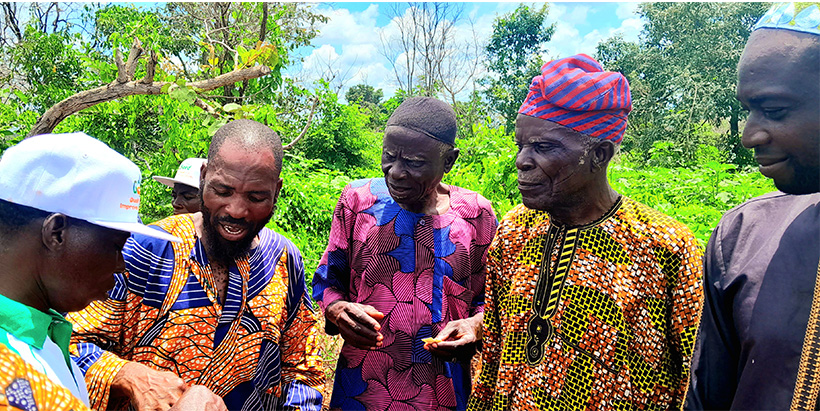 Farmers from Lagbanda selecting their best varieties.