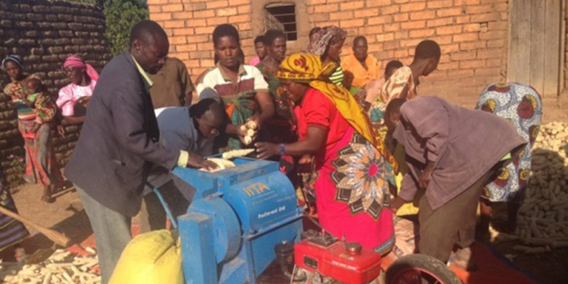Farmers in Tanzania's Mbozi District using maize sheller machines promoted by the Africa RISING - NAFAKA Project.