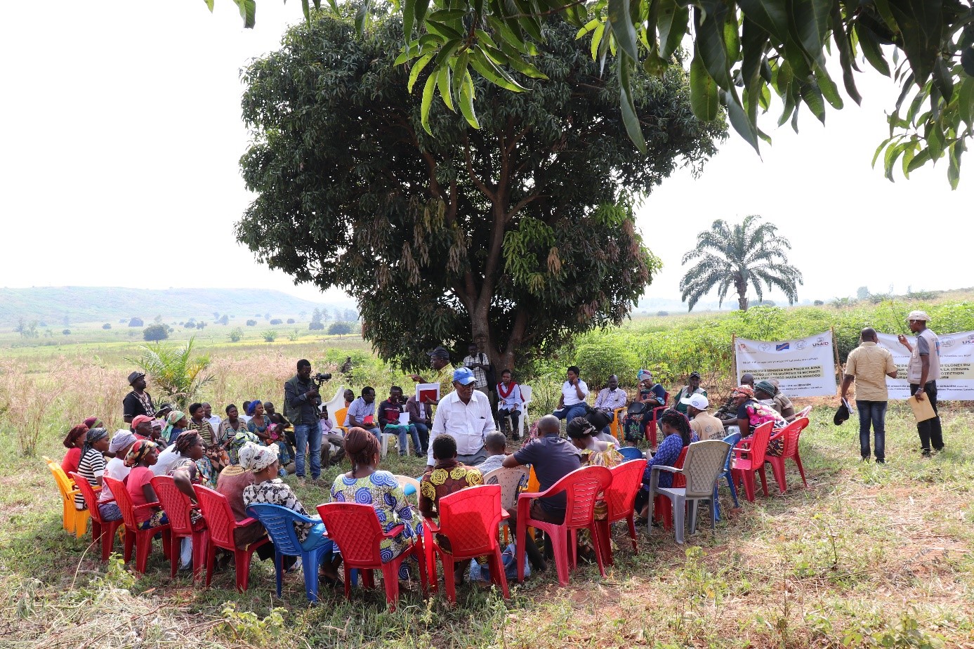 Group discussion with farmers to identify their criteria for clones selection.