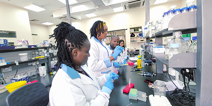 Fellows during a training session in the IITA Biotechnology laboratory