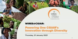 Head of Regional Information and Smart Food Coordinator at ICRISAT, Agathe Diama (top right), anchoring the WIRES launch webinar.