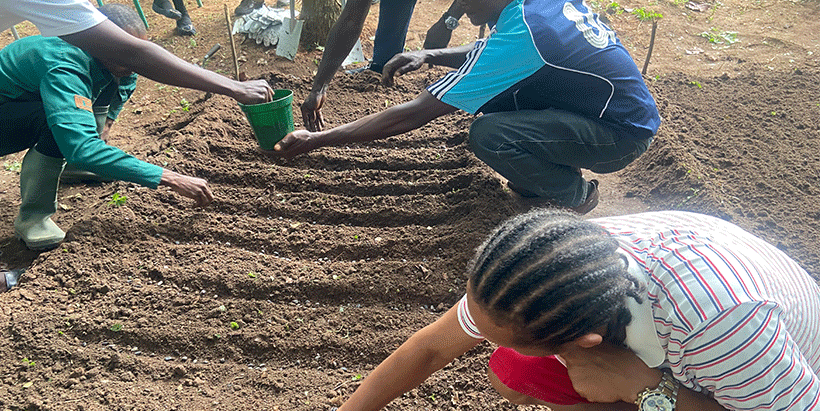 Field practice with Crescendo Africa for raising tree seedlings at nursery.