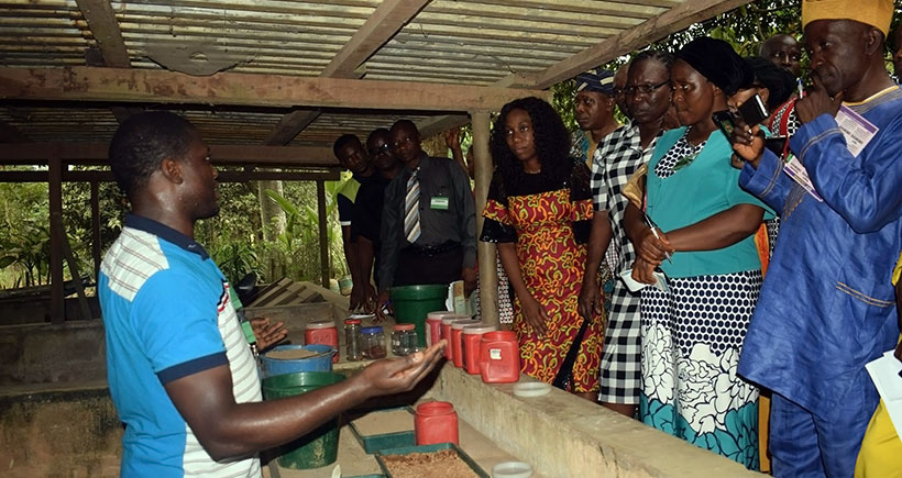 Forest Center Plant Specialist demonstrates seed propagation techniques to participants.