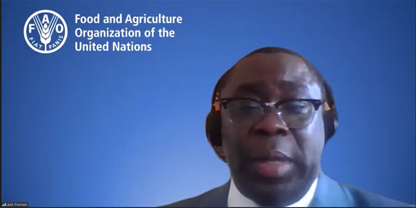 Dr Ade Freeman, Regional Program Leader, FAO Regional Office for Africa, Ghana
