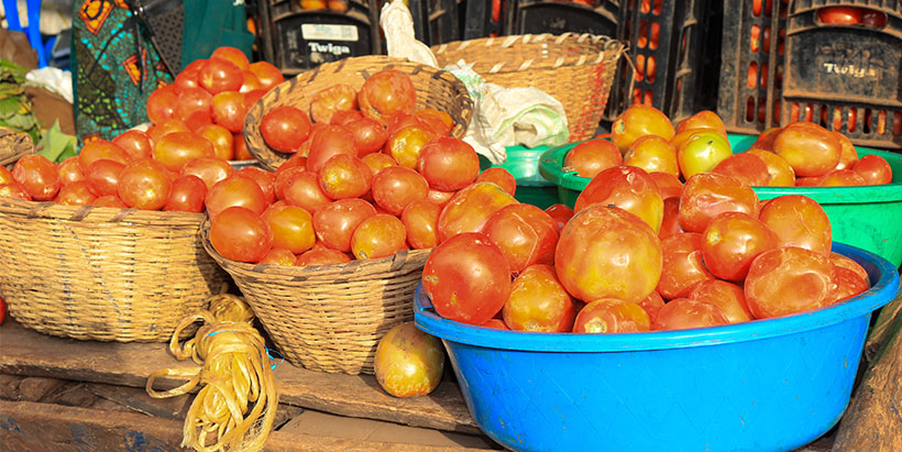Fresh tomatoes on display at the local market, increasing food availability in the region.