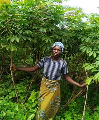 Grace Agi, a farmer and processor, in her baby trial among a Nextgen variety