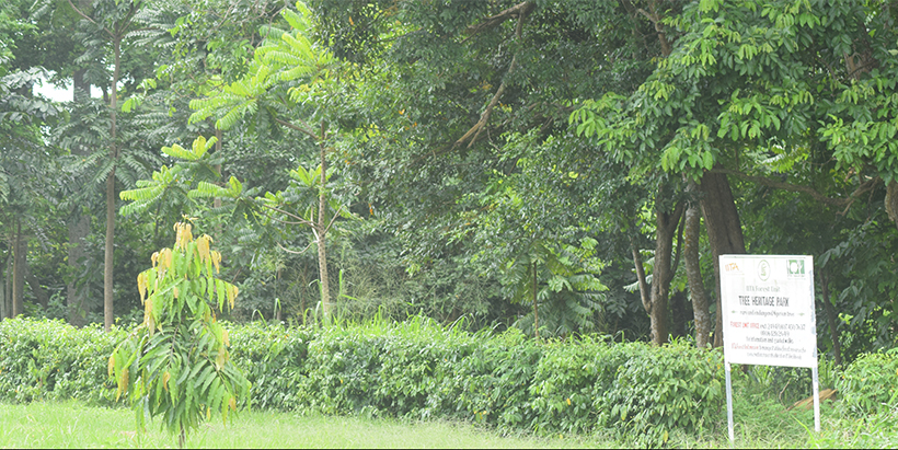 IITA Heritage Park