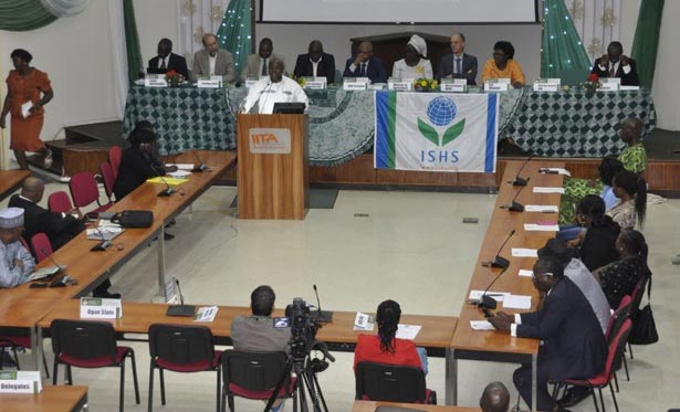 Picture of DG Sanginga delivering his remarks at the convergence.