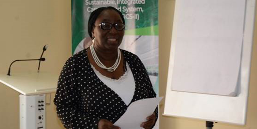 IFAD Country Director Ekou Dede speaking at the meeting.