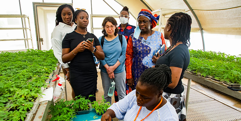  IITA Cassava Seed Systems Specialist Dr Mercy Diebiru-Ojo with the NFWP team in SAH screenhouse.