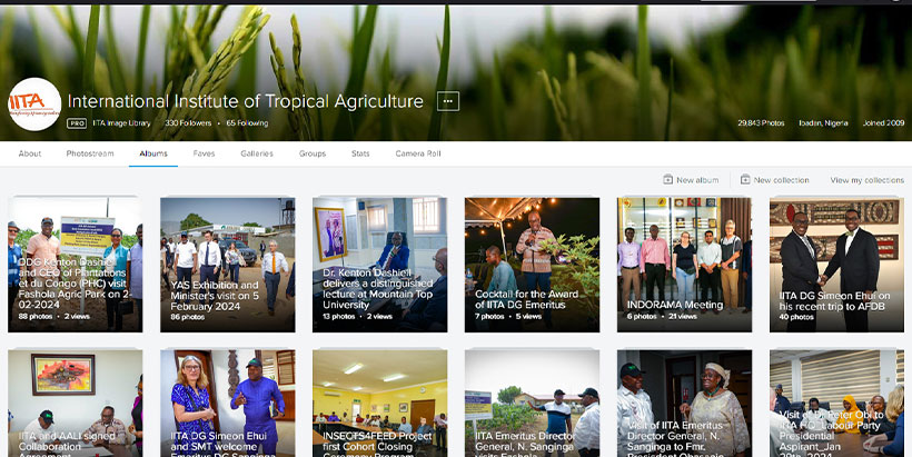 IITA Flickr account home page.