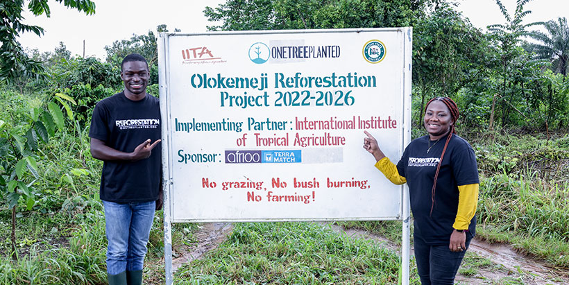 AFR100 donor representatives impressed by the reforestation works of IITA Forest Center at Olokemeji.