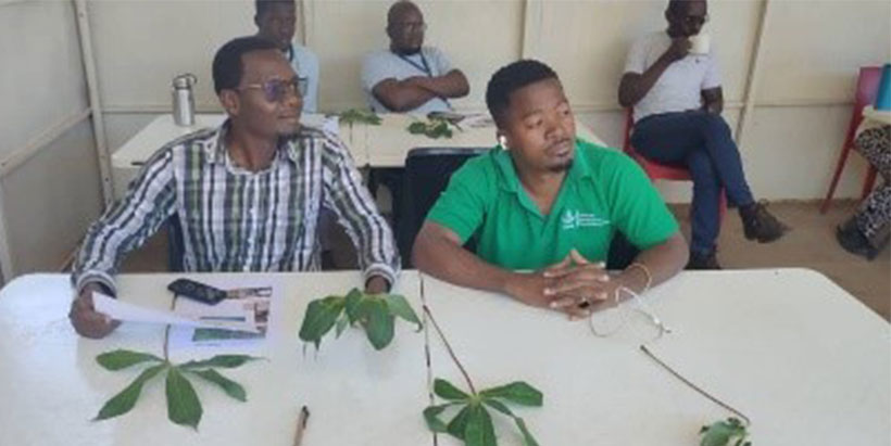 IITA-Malawi staff during one of the practical sessions.