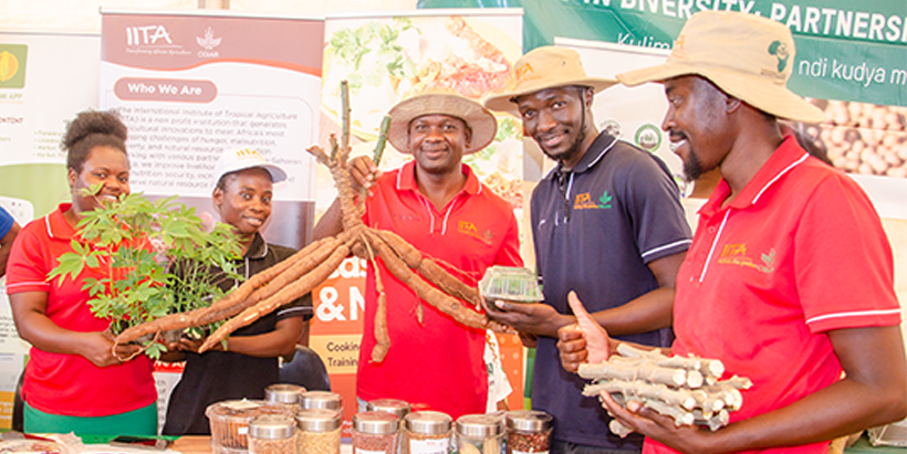 IITA Malawi team showcasing various technologies at the World Food Day event.