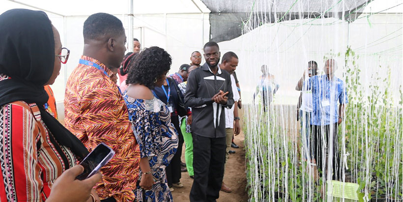 IITA Molecular Breeder Dr Agre Paterne taking participants through the yam screen house.