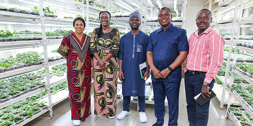 Heifer International delegates inside IITA Seed Yam Multiplication Laboratory