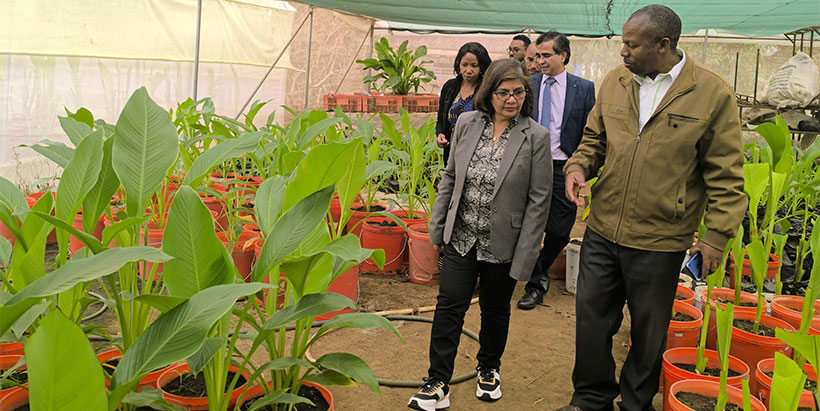 IITA and GCN team during a tour of the screenhouse at JKUAT.