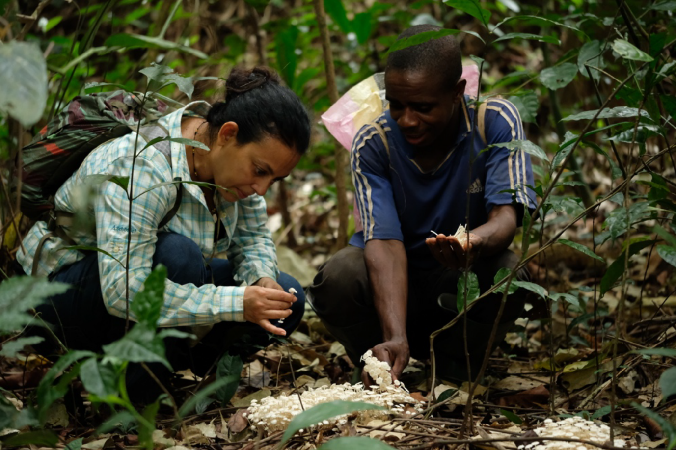 Forest-dependent women and youth collecting traditional medicines in Bifalone.