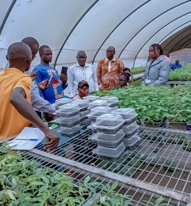 Photo: Researchers from the Institute of Agronomic Research of Central Africa and the PADECAS project coordinator trained on SAH technology for high-quality cassava seed production at IITA headquarters, Ibadan, Nigeria.
