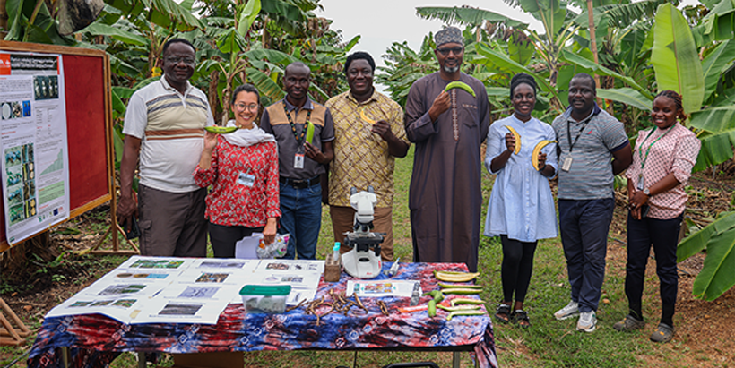 Groupe Nutriset visiting the IITA plantain demonstration field.
