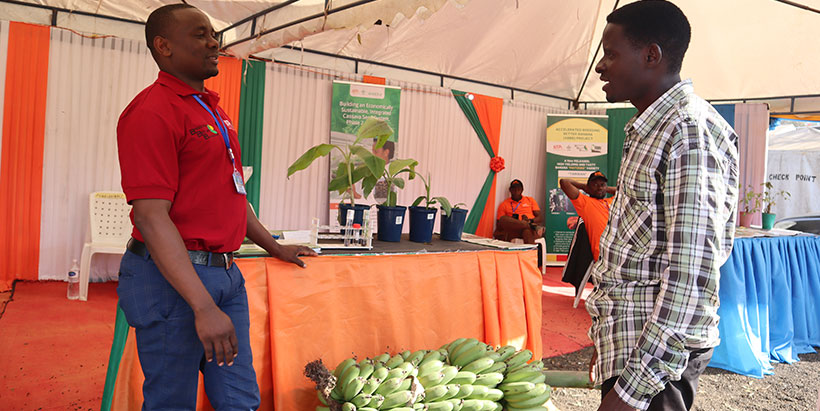 Ronald exchanging ideas with the IITA staff on banana farming. Photo: IITA/G Ndibalema