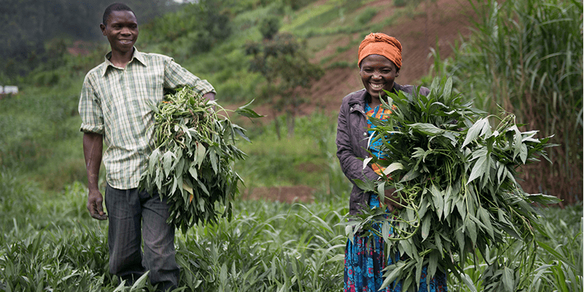 IITA's gender research will impact households in rural regions. Photo Credit CIP/H. Rutherford