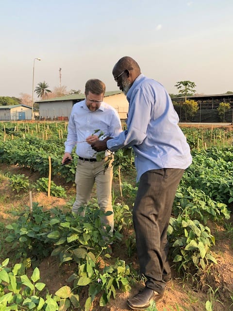 IITA and Bayer launch modern breeding project 