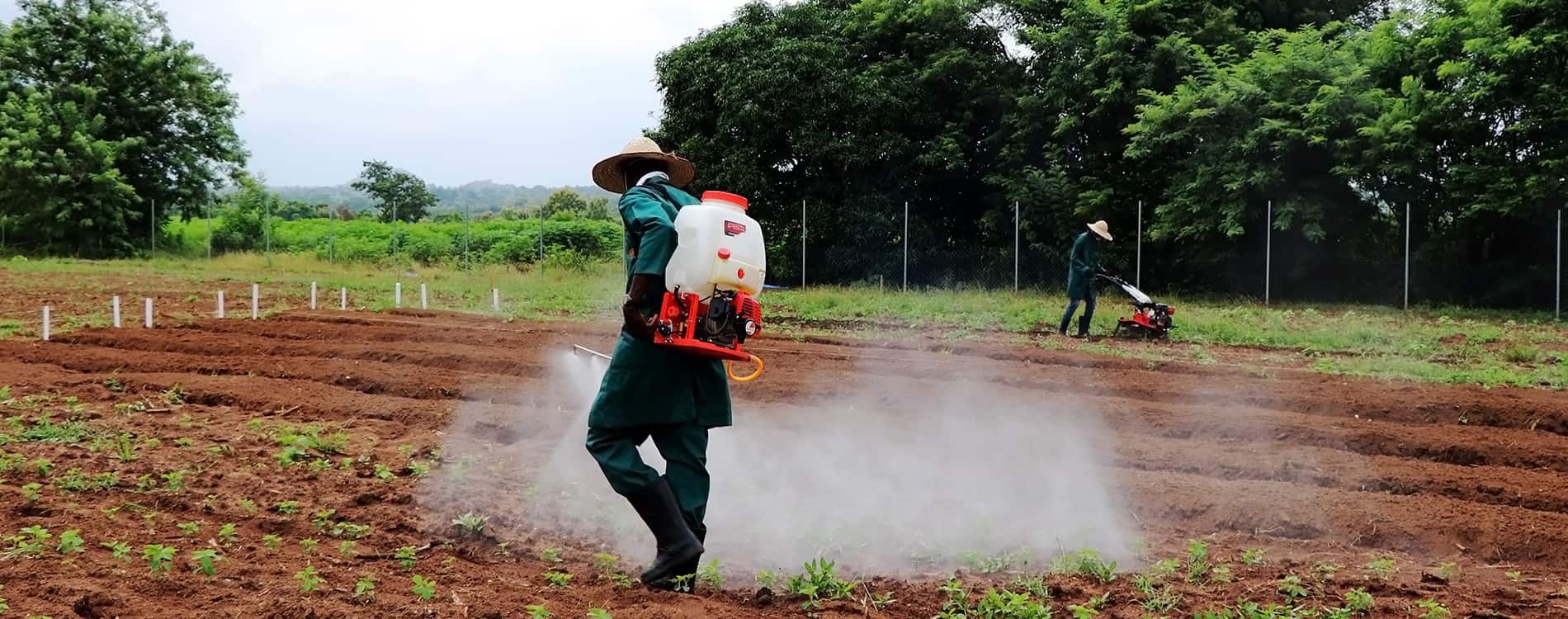 IITA launches Agribusiness Training Program for secondary schools in Oyo State