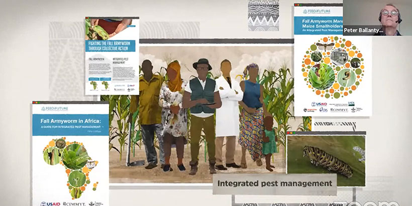 IYPH integrated pest and disease management