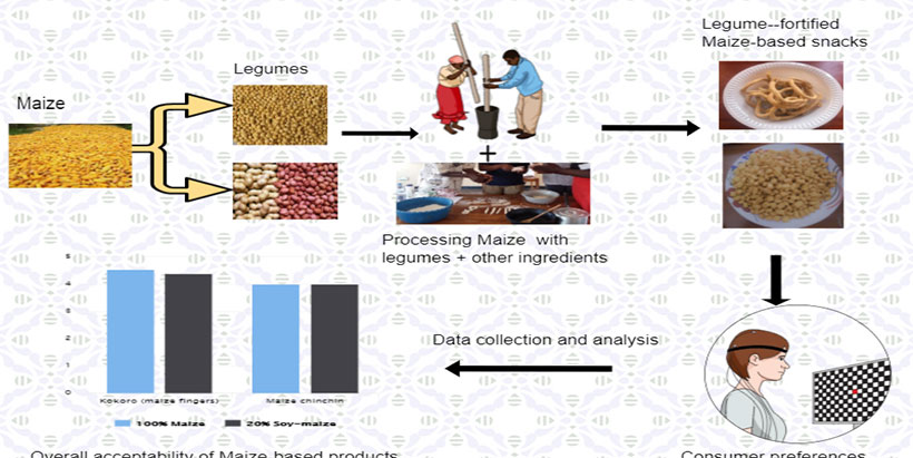 Graphical abstract summarizing the study.