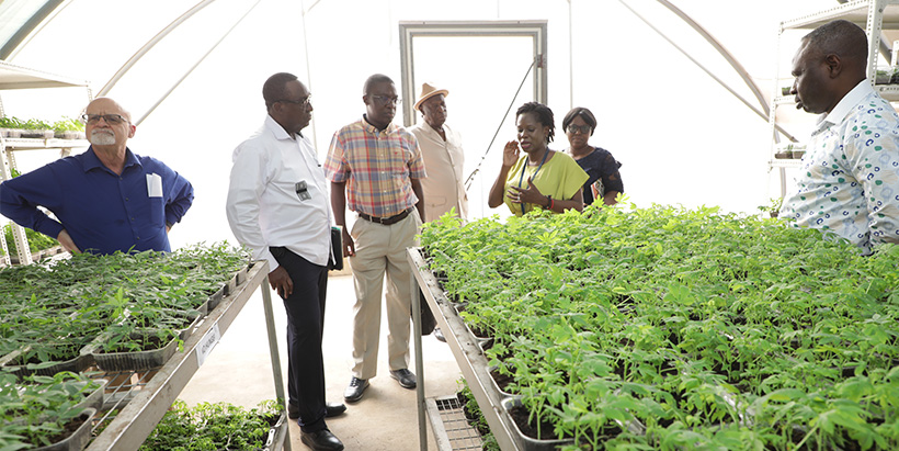 Incoming IITA Director General, Dr Simeon Ehui, toured the Institute, including the SAH facility.