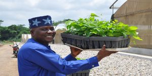 Napetsa Farms CEO Joseph Adewale Fosudo receiving healthy yam AS vine seedlings.