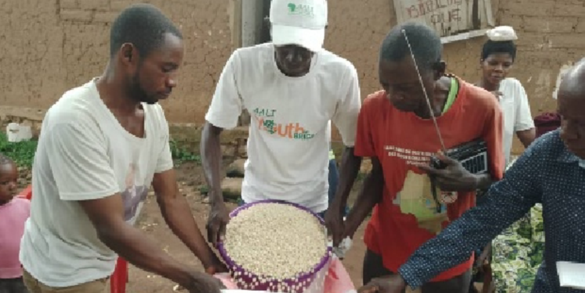 Inspecting and bagging shelled maize for market