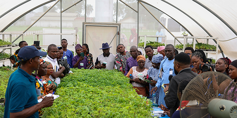 Participants at the Semi-Autotrophic Hydroponics (SAH) screen house facility.