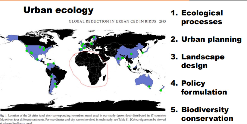 Map showing global distribution of city locations considered in the urban ecology study.