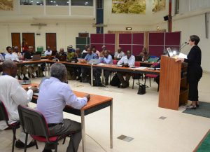 Picture of May-Guri Saethre, IITA DDG-R4D giving her welcome address during the STMA planning meeting at IITA.