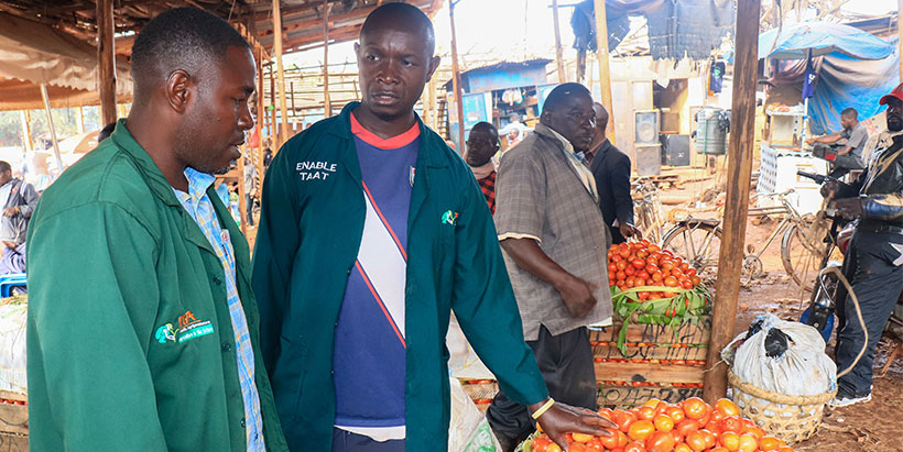 Members of the Mukono Youth Agripreneurs Cooperative (MYAC) sorting freshly harvested tomatoes at a local market.