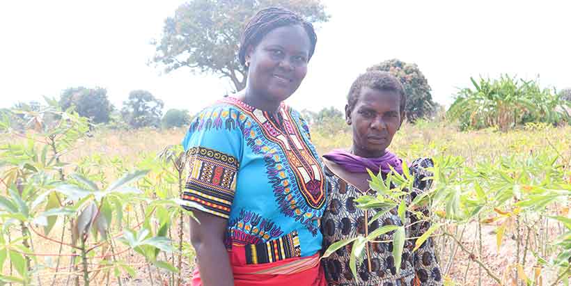  Millicent Liani and Flora Mazuke in her cassava farm in Tabora, Tanzania. Photo: IITA/Hadi Rashid