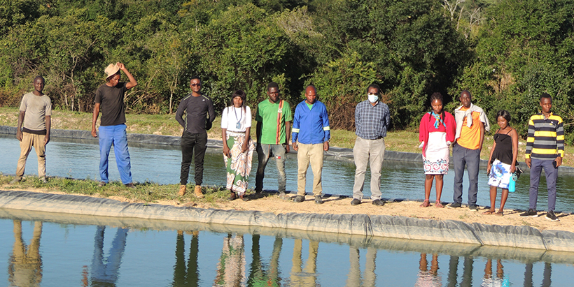 Youth aquaculture enterprise demonstrates profitability in Zambia