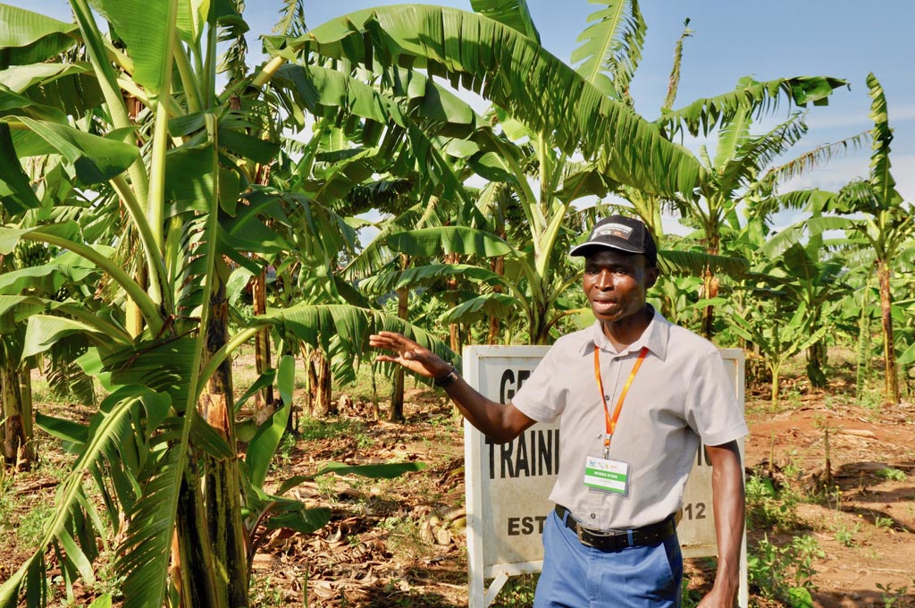 Picture of Moses Nyine explaining his research in a banana field in Uganda.