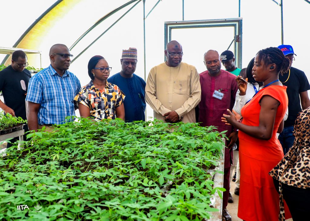 Delegation from NASC and NRCRI visiting the SAH laboratory at IITA