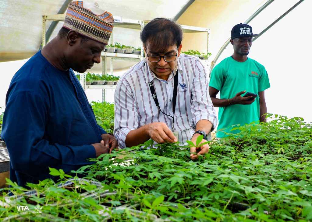 NASC Director of Seed Certification and Quality Control, Mallam Ubandoma Hudu with IITA Head of Virology and Germplasm Health Lava Kumar in the SAH Lab