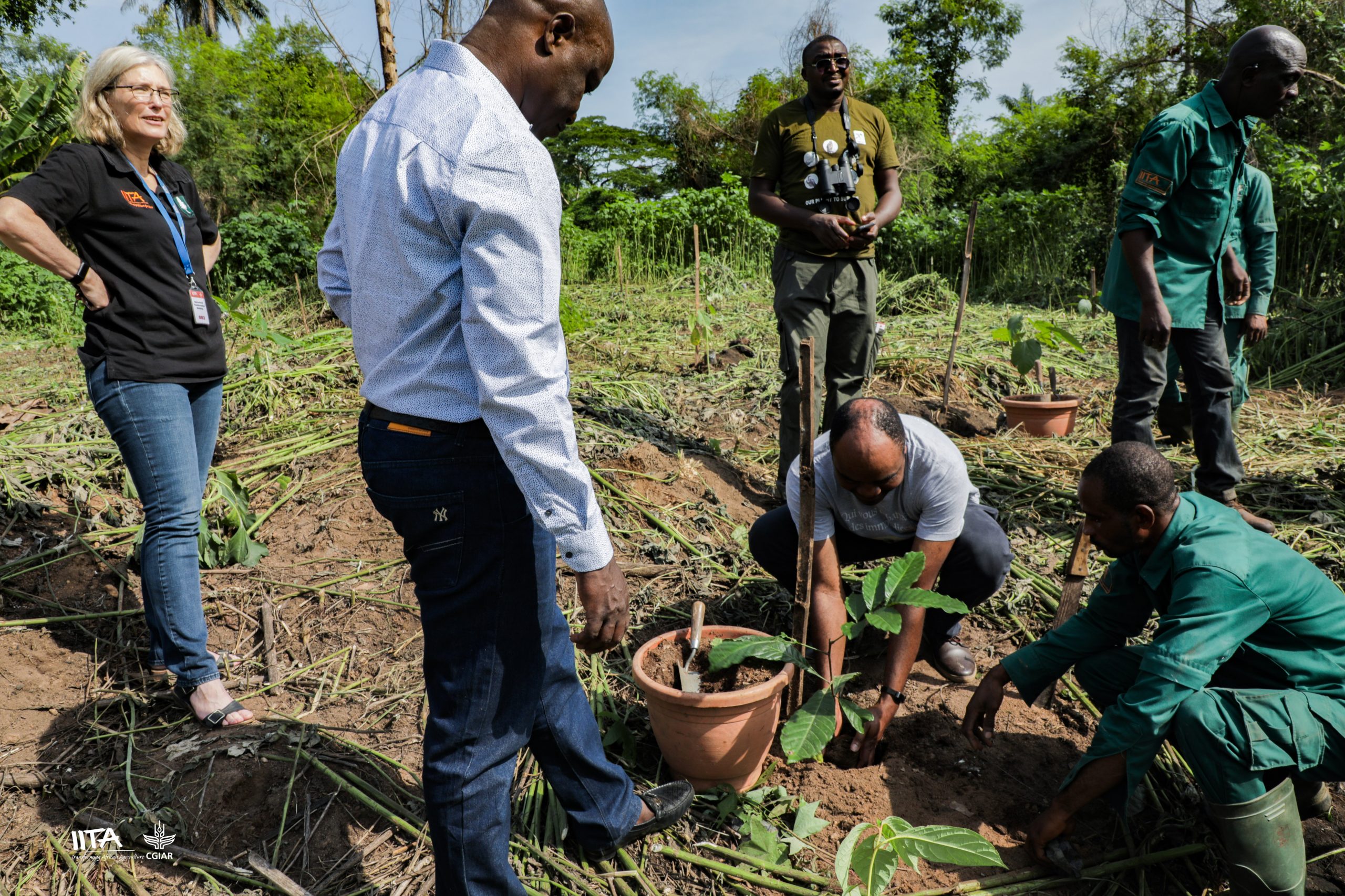NCF partner planting a tree seedling flanked by his colleagues, Forest Center staff, and IITA DDG Corporate Services, Hilde Koper (left).