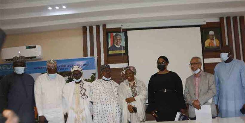IITA-NIAA Supports 200 Rice Farmers with Inputs