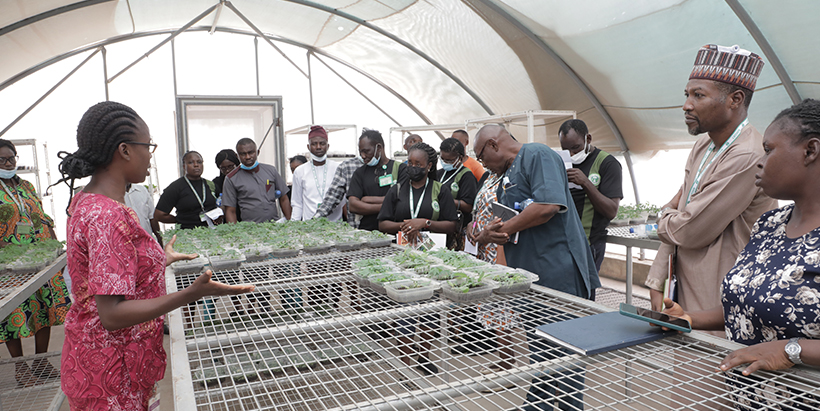 The NIHORT team visiting aeroponics facility.