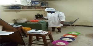 Developing the new gari productfor Benue, Imo, and Osun consumers.