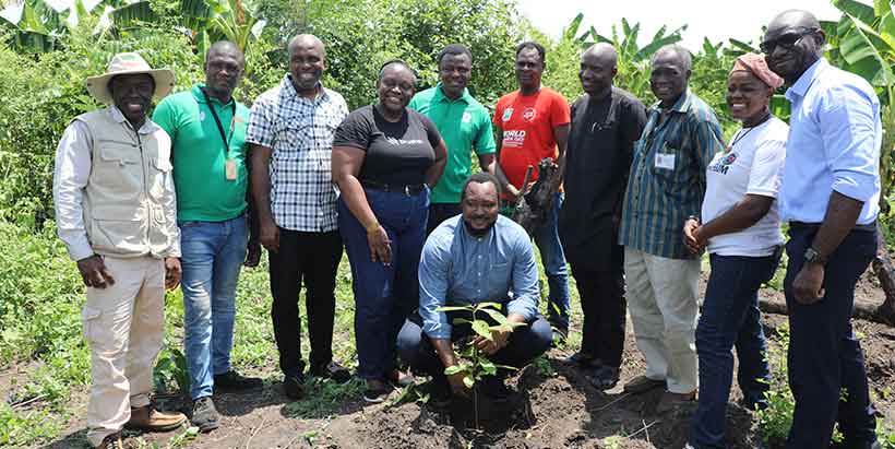 Nigerian Breweries representatives and invited conservationists with a newly seedling.