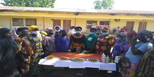 Participating women displaying micro-processed cereal (tofu) and soymilk in Guyuk LGA, Adamawa.