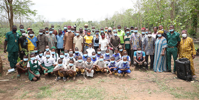 IITA partners with Nigerian Breweries for Olokemeji Reforestation